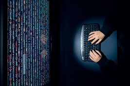 Desarrollo de Soluciones Web